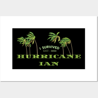 Hurricane Ian Posters and Art